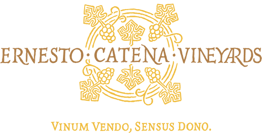 Ernesto Catena Vineyards